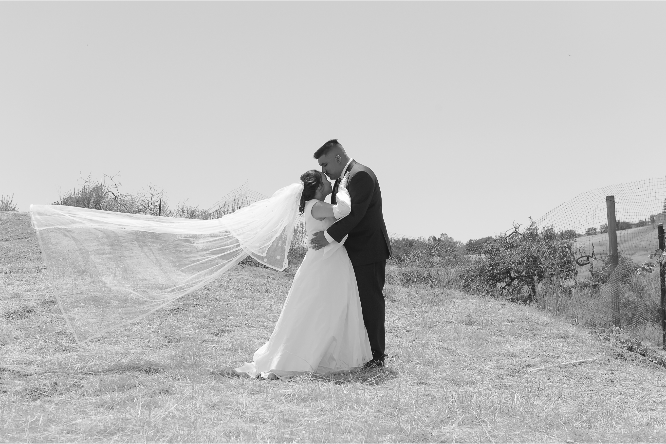 [Wedding] Diane + Ivan | Wedding Photography :: San Juan Bautista, California